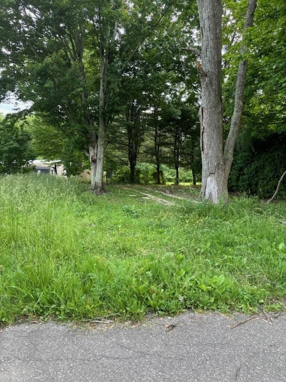 12807 Birch Dr, Conneaut Lake, PA 16316