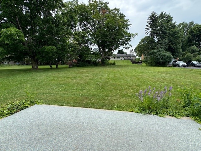 3233 W 26th St, Millcreek, PA 16505 - view of green lawn
