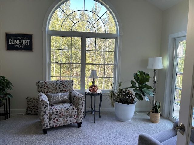 sitting room featuring carpet flooring