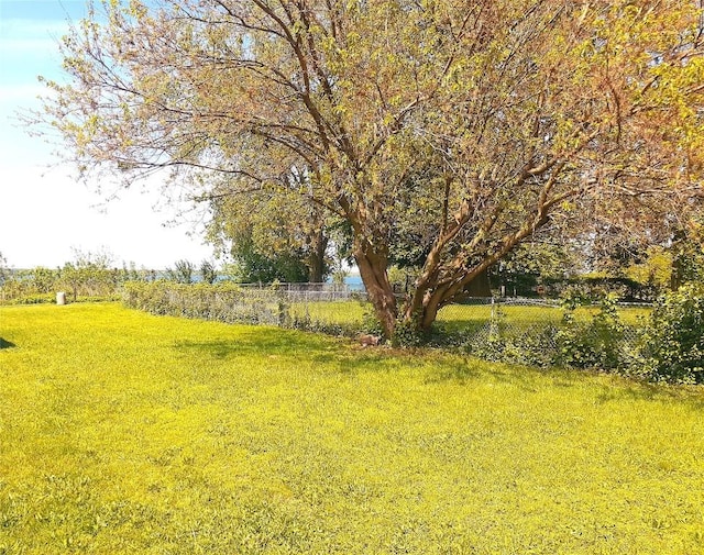 814 W 2nd St, Erie, PA 16507 - view of yard