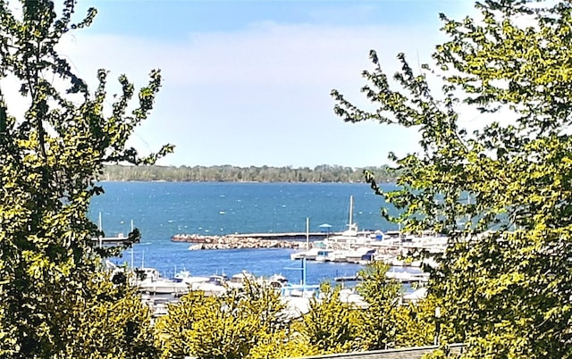 814 W 2nd St, Erie, PA 16507 - water view