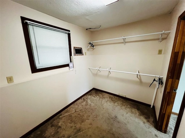 spacious closet featuring carpet flooring