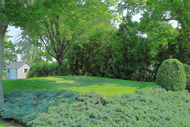 8280 Shore Dr, Fairview, PA 16415 - view of grassy yard with an outdoor structure and a forest view