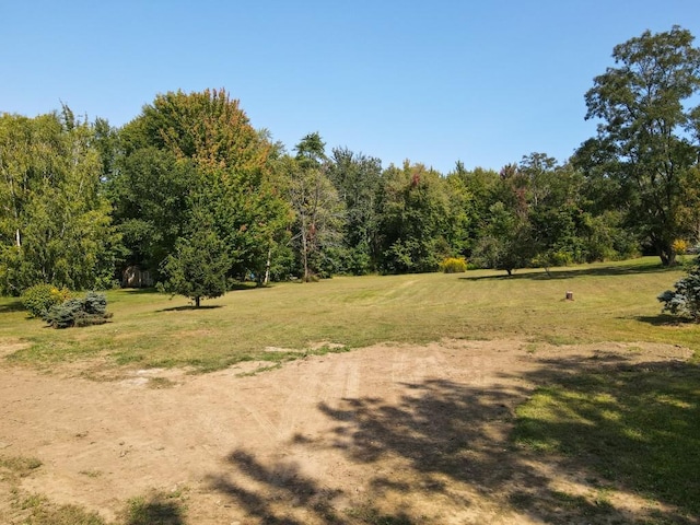 view of local wilderness with a rural view