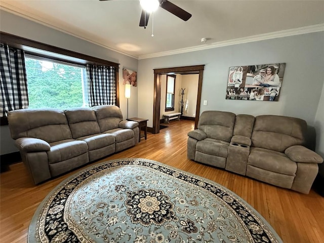 566 Walnut St, Meadville, PA 16335 - living room with a ceiling fan, wood finished floors, ornamental molding, and plenty of natural light