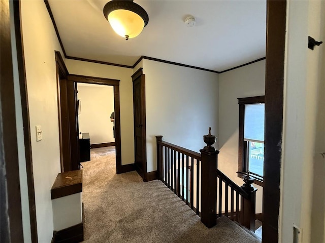 566 Walnut St, Meadville, PA 16335 - hallway featuring carpet flooring, an upstairs landing, and ornamental molding