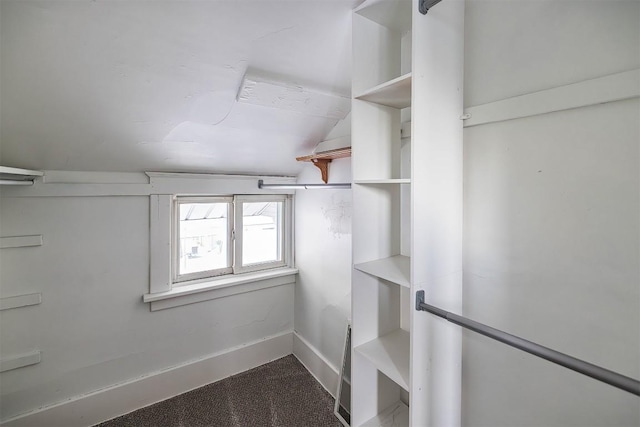 walk in closet featuring vaulted ceiling and carpet