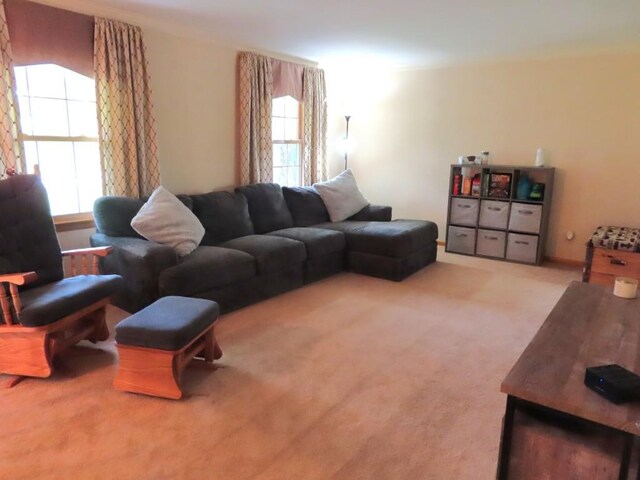 12930 Park Lane Dr, Meadville, PA 16335 - living area featuring light colored carpet