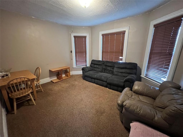 carpeted living room with a textured ceiling