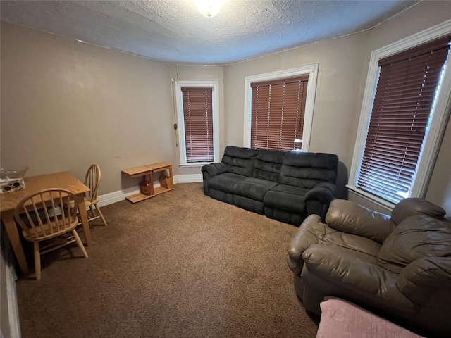 living room featuring carpet floors and a textured ceiling