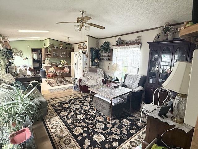 702 Skyline Dr, Mckean, PA 16426 - living room with a ceiling fan, wood finished floors, a textured ceiling, and lofted ceiling