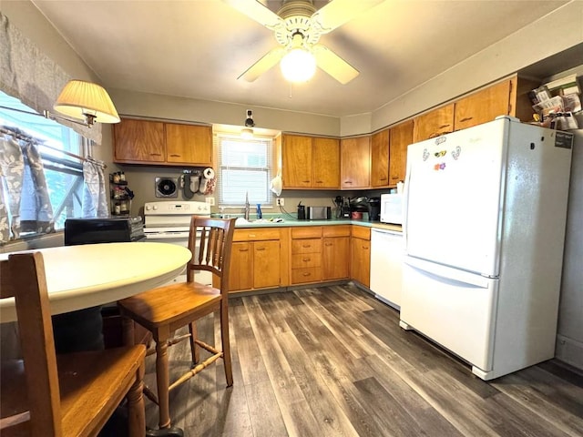 1426 W 45th St, Erie, PA 16509 - kitchen with white appliances, a ceiling fan, light countertops, dark wood-style floors, and a sink