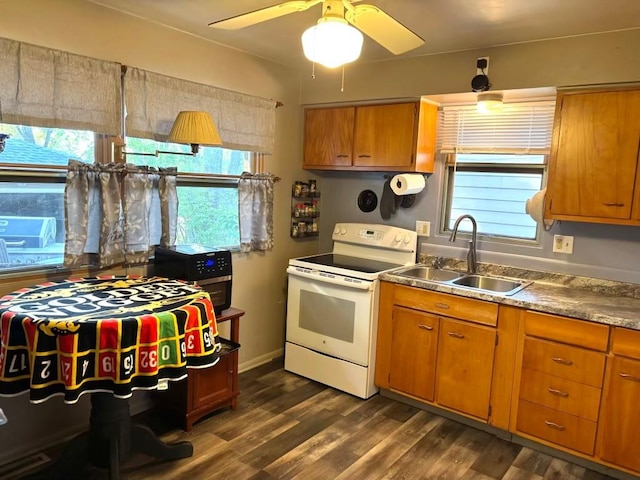 1426 W 45th St, Erie, PA 16509 - kitchen with electric range, a sink, dark wood finished floors, brown cabinets, and a ceiling fan
