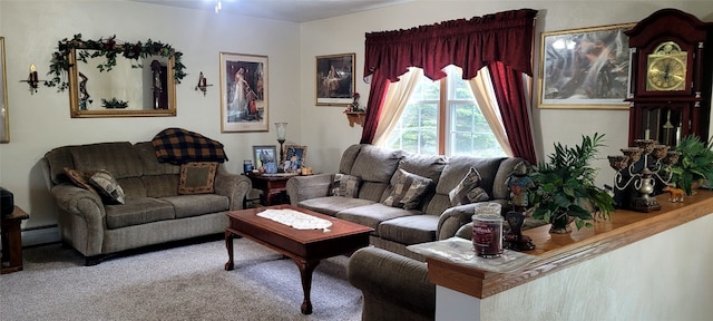 9990 Findley Lake Rd, North East, PA 16428 - living area with carpet floors and baseboard heating