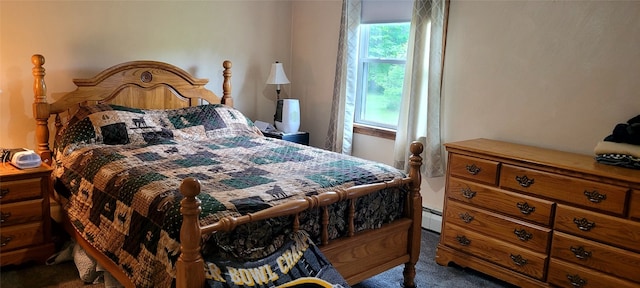 9990 Findley Lake Rd, North East, PA 16428 - bedroom with dark colored carpet and baseboard heating