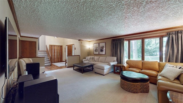 carpeted living room with a textured ceiling and ornamental molding