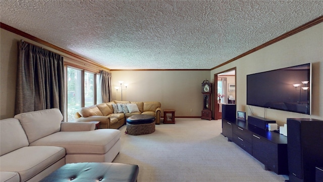 carpeted living room with ornamental molding and a textured ceiling