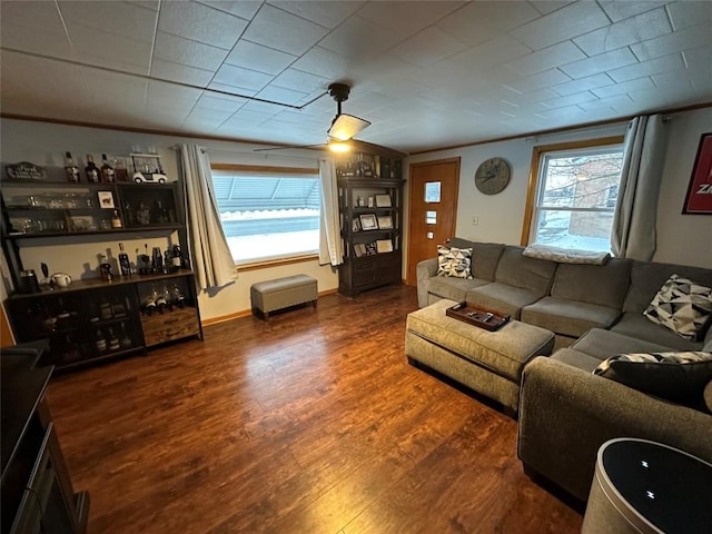 living room with indoor bar, crown molding, and dark wood-type flooring