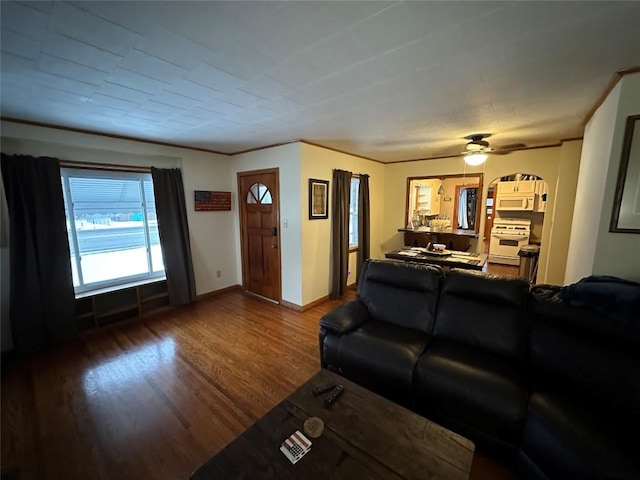 living room featuring hardwood / wood-style flooring and ceiling fan