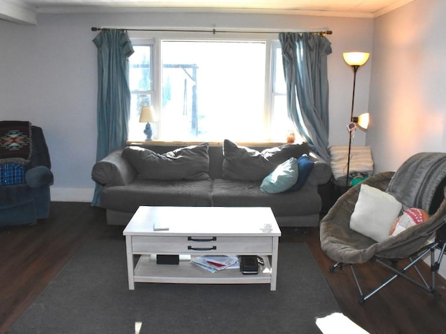 living room with dark hardwood / wood-style flooring and ornamental molding