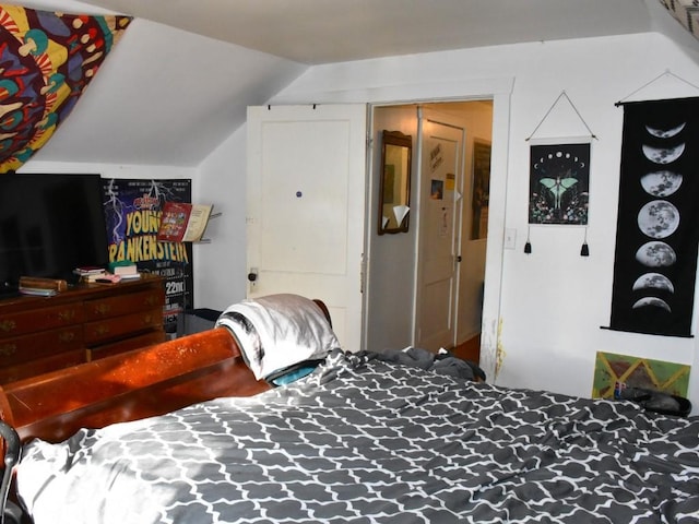 bedroom featuring vaulted ceiling