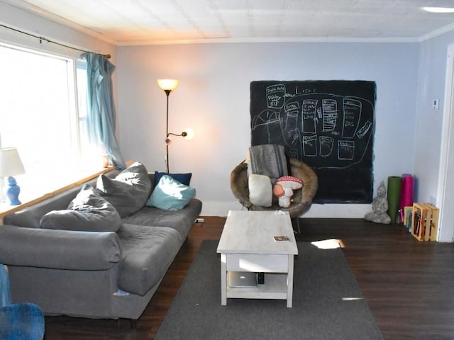 living room featuring dark hardwood / wood-style flooring and crown molding