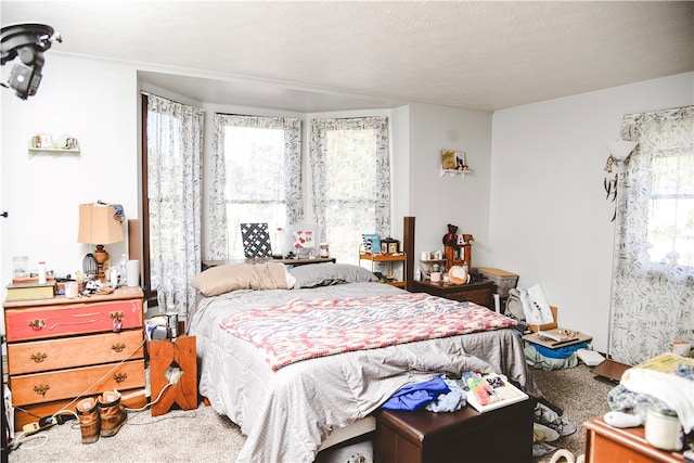 212 Main St, Jamestown, PA 16134 - bedroom featuring carpet floors