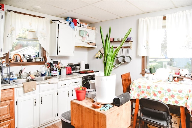 212 Main St, Jamestown, PA 16134 - kitchen with light countertops, white cabinets, a drop ceiling, and plenty of natural light