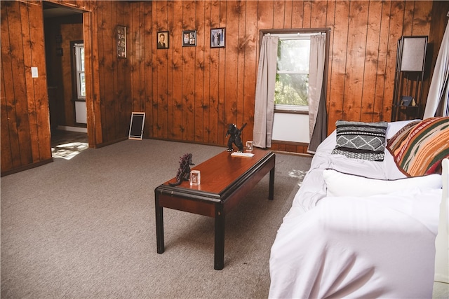 212 Main St, Jamestown, PA 16134 - carpeted living area featuring wood walls