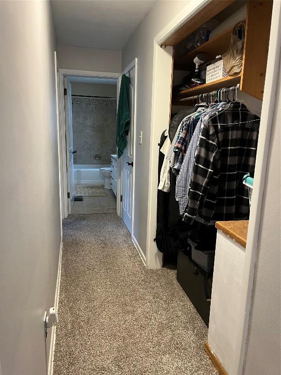 walk in closet with light colored carpet