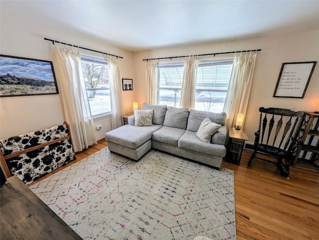 living room with wood-type flooring