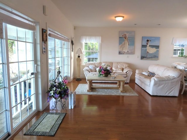 living room with dark hardwood / wood-style flooring