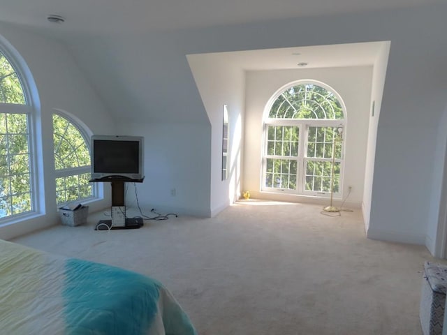 carpeted bedroom with vaulted ceiling