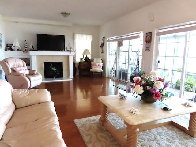 living room featuring hardwood / wood-style flooring