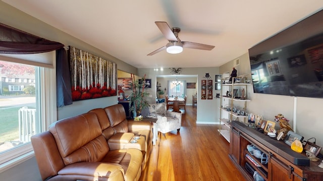 living room with ceiling fan with notable chandelier, light hardwood / wood-style flooring, and plenty of natural light