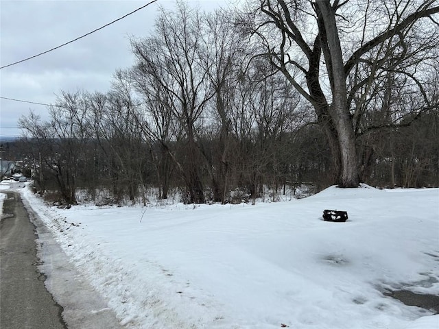 view of yard layered in snow