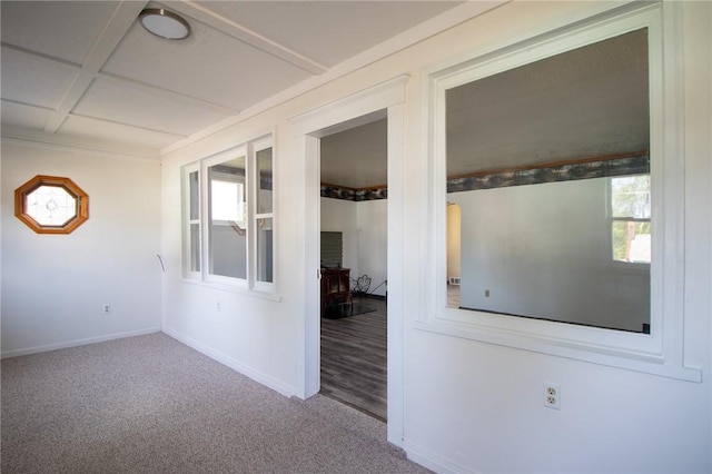 empty room featuring a wood stove and carpet