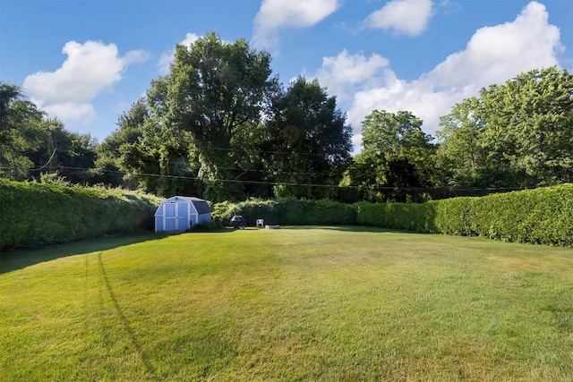 2548 E 32nd St, Erie, PA 16510 - view of green lawn featuring a shed