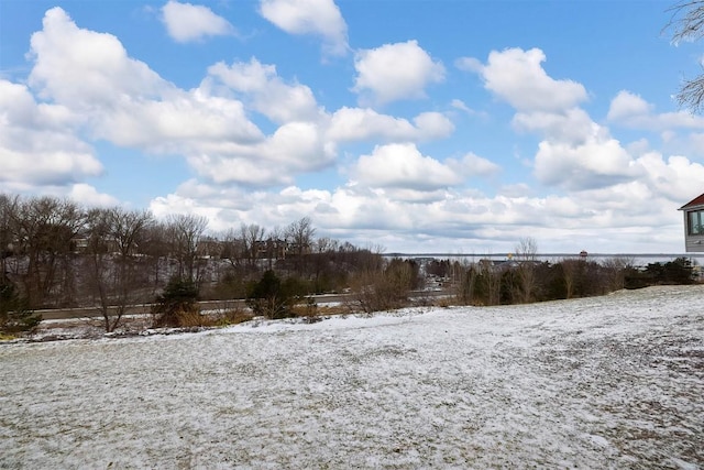 view of yard covered in snow