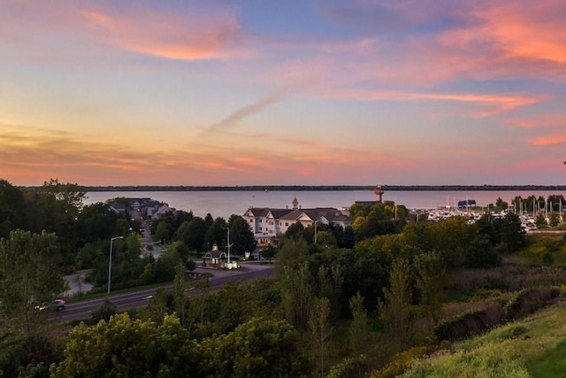 1036 Lookout Dr Unit 1036, Erie, PA 16507 - view of water feature