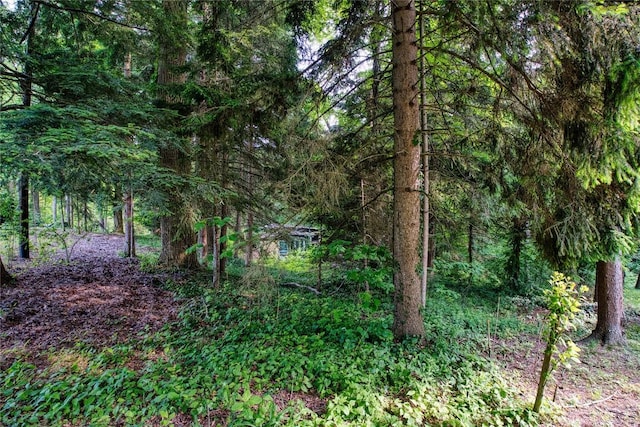 202 Marietta Ave, Fairview, PA 16415 - view of wooded area