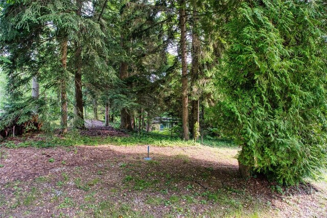 202 Marietta Ave, Fairview, PA 16415 - view of local wilderness