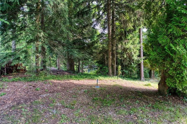 202 Marietta Ave, Fairview, PA 16415 - view of wooded area