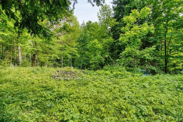 202 Marietta Ave, Fairview, PA 16415 - view of woods