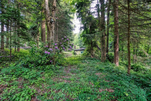 202 Marietta Ave, Fairview, PA 16415 - view of woods