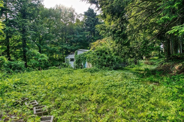 202 Marietta Ave, Fairview, PA 16415 - view of yard with an outdoor structure and a wooded view