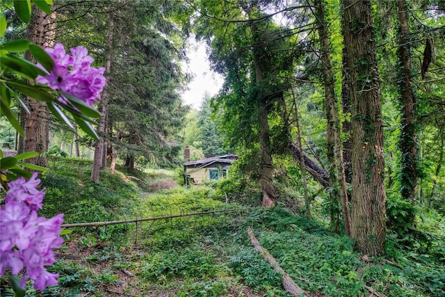 202 Marietta Ave, Fairview, PA 16415 - view of yard featuring a forest view