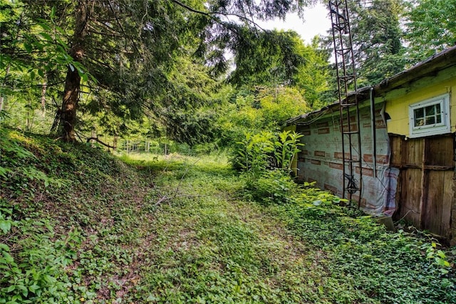 202 Marietta Ave, Fairview, PA 16415 - view of yard