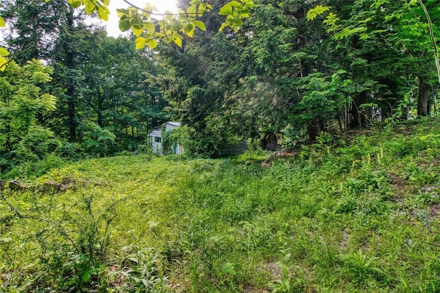 202 Marietta Ave, Fairview, PA 16415 - view of yard featuring a forest view