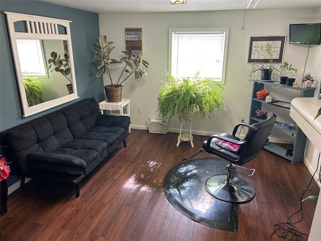 315 Wallace Ave, Linesville, PA 16424 - living room featuring wood finished floors and baseboards